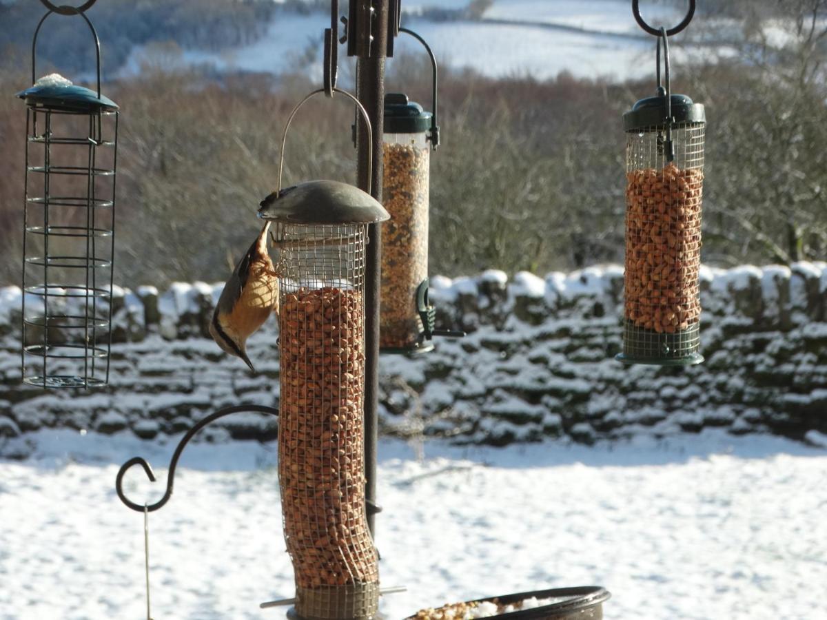 Pant Llwyd Farm Villa Llangynidr Eksteriør billede