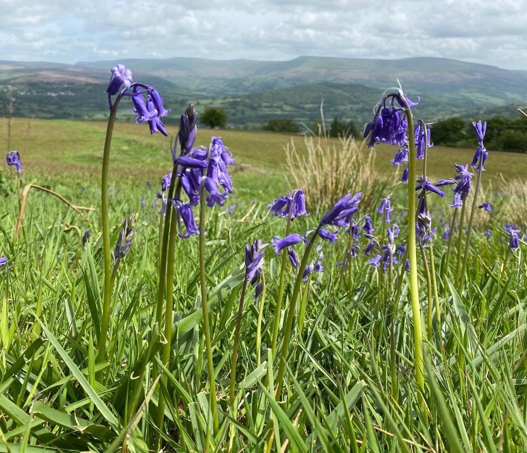 Pant Llwyd Farm Villa Llangynidr Eksteriør billede