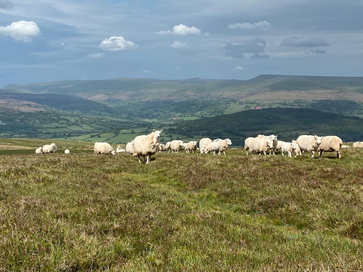 Pant Llwyd Farm Villa Llangynidr Eksteriør billede